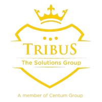Tribus solutions, llc