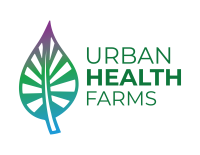 Urban health systems
