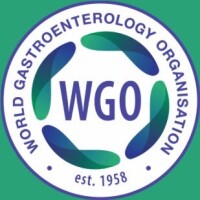 World gastroenterology organisation (wgo) / wgo foundation