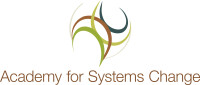 Academy for systemic change