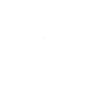 Amber rose