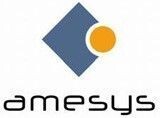 Amesys -consulting company