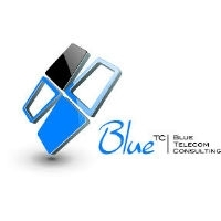 Blue telecom consulting
