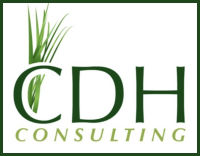 Cdh consulting