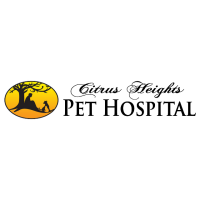 Citrus heights pet hospital