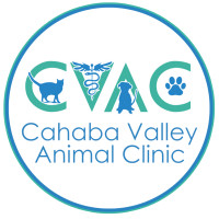 Cahaba valley animal clinic
