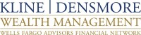 Densmore financial services, inc.