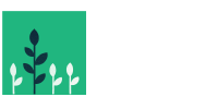 Desert montessori school