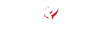 D nakama faction