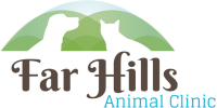 Far hills animal clinic