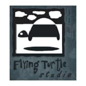 Flying turtle studio