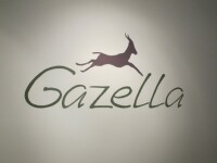 Gazella performance & wellness studio