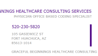 Graceful beginnings healthcare consulting services