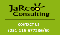 Jarco consulting plc
