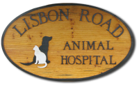 Lisbon road animal hospital