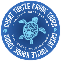 Great turtle kayak tours