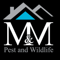 M&m pest & termite control