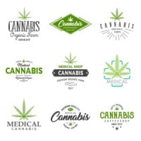 Medical marijuana listings llc