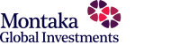 Montaka global investments