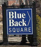 Blue Back Square