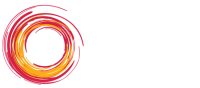 The social studies group