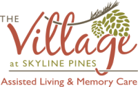 The village at skyline pines