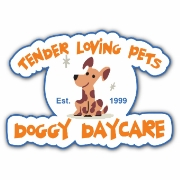 Tender loving pets doggy daycare