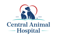 Vet central animal hospital