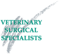 Veterinary surgical associates