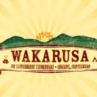 Wakarusa music and camping festival