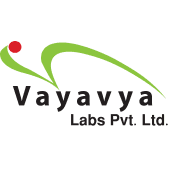 Vayavya Labs India Private Limited
