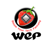 Wep peripherals limited