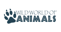 Wild world of animals