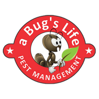 A bug's life pest management inc.