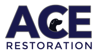 Ace restoration & waterproofing inc.