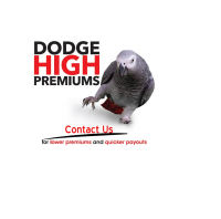 African grey insurance limited