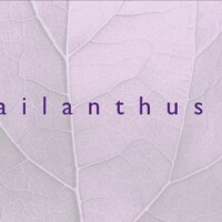 Ailanthus inc