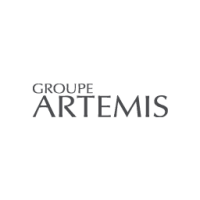 The artemis group