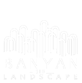 Banyan landscape