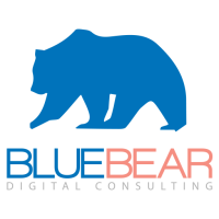 Blue bear consulting company