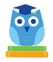 Blue owl tutors