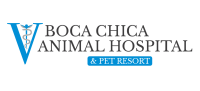 Boca chica animal hospital