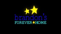 Brandons forever home