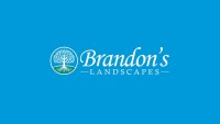 Brandon's landscapes