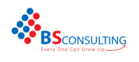 Bs consulting sas