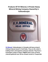 V V Mineral