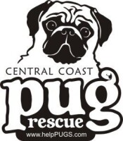 Central coast pug rescue