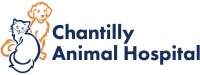 Chantilly animal hospital