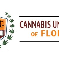 Cannabis university of florida