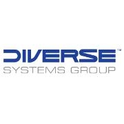 Diverse systems group
